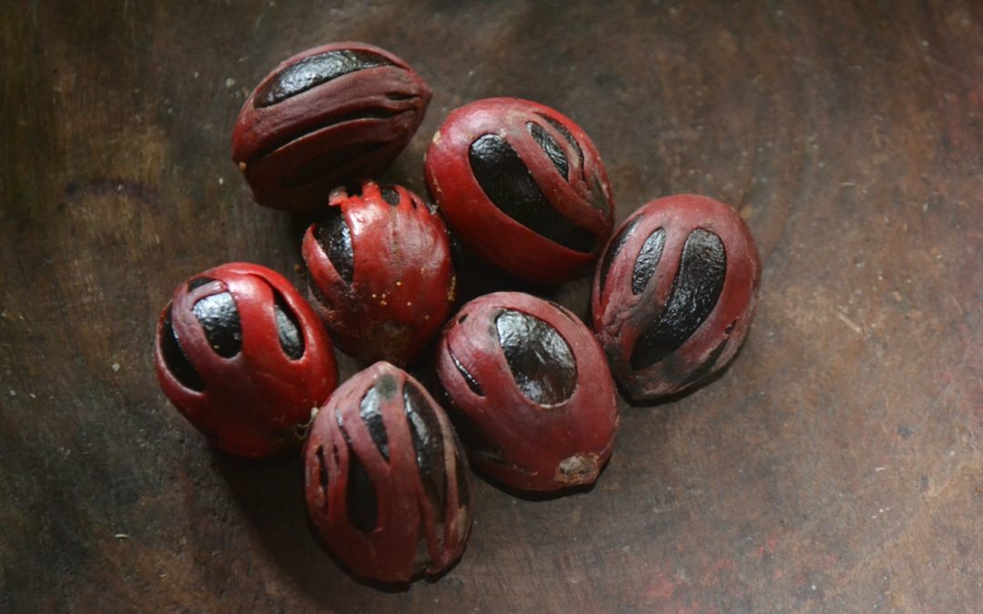 Nutmeg – a healing spice