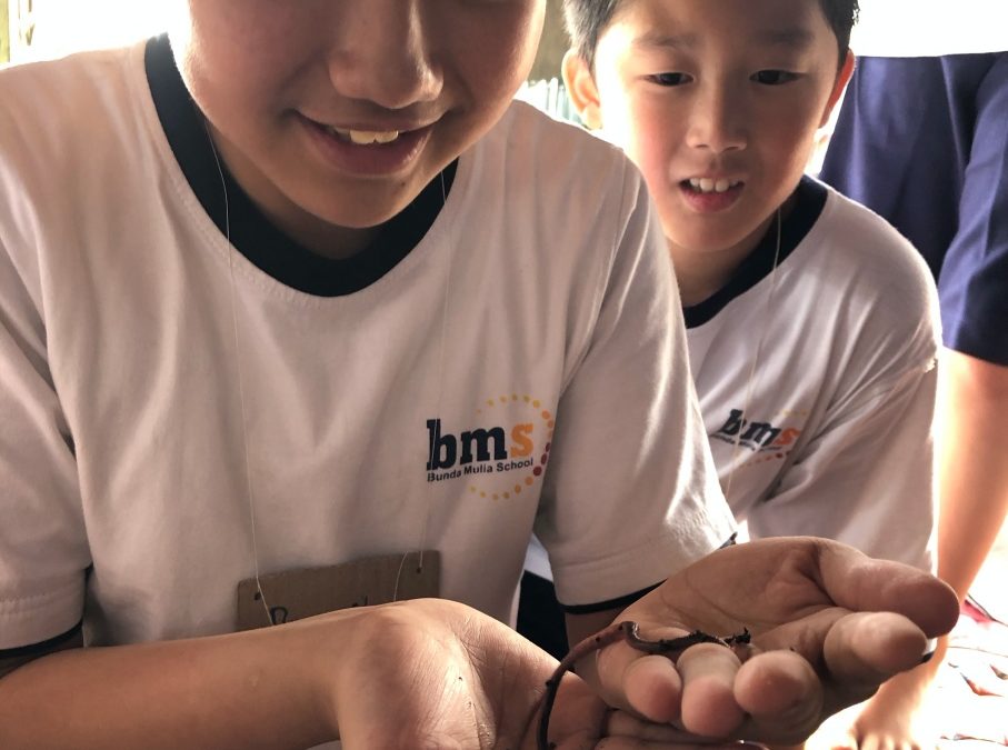 A learning journey – a special interactive field trip in nature